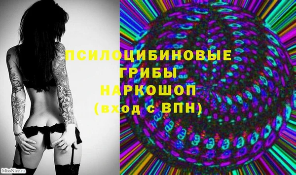 синтетический гашиш Каменногорск