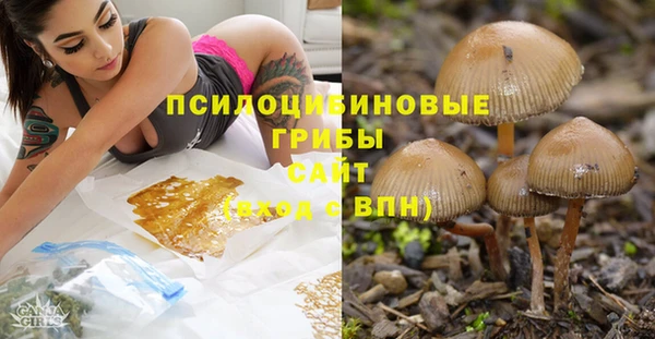 mdpv Касимов