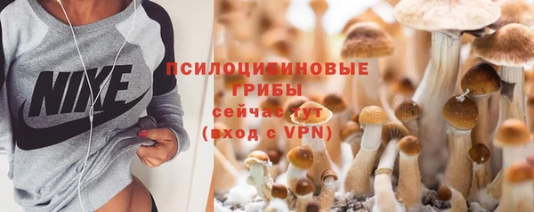 jwh Карпинск